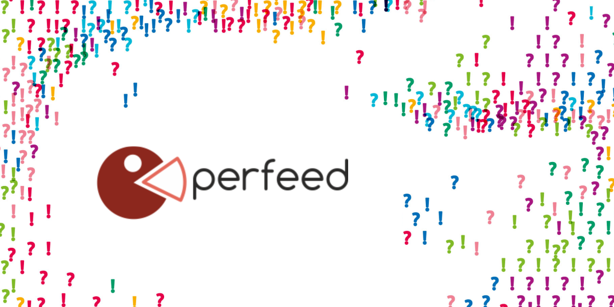 Perfeed na festivalu Jeden svět