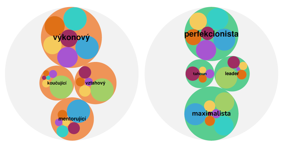 Přehled výsledků jednotlivých členů týmu